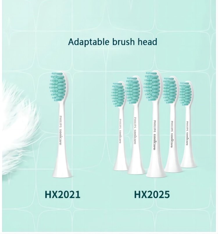 For Philips Sonicare 2100 Series HX2421 Electric Toothbrush USB Charging Base Whole Body Acoustic Vibration Soft Brush Head Two Modes 30, 000 Brush Head Movements Per Minute Pink Colour